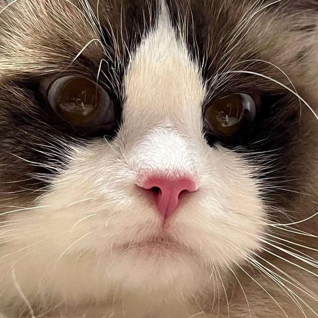宗📦