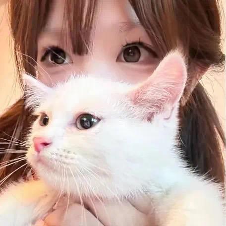 毛蛋豆豆'ㅅ'