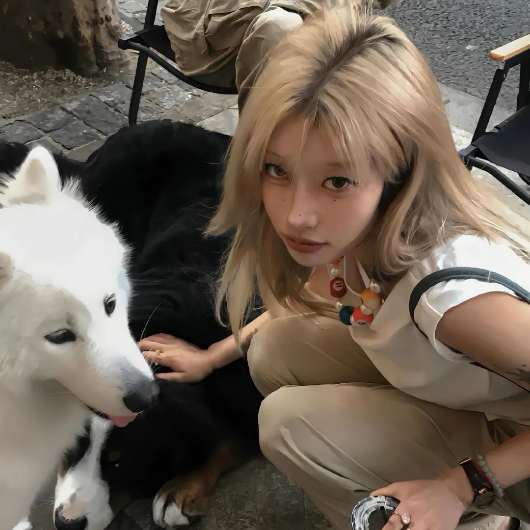 Dino啊🦦（减肥版）