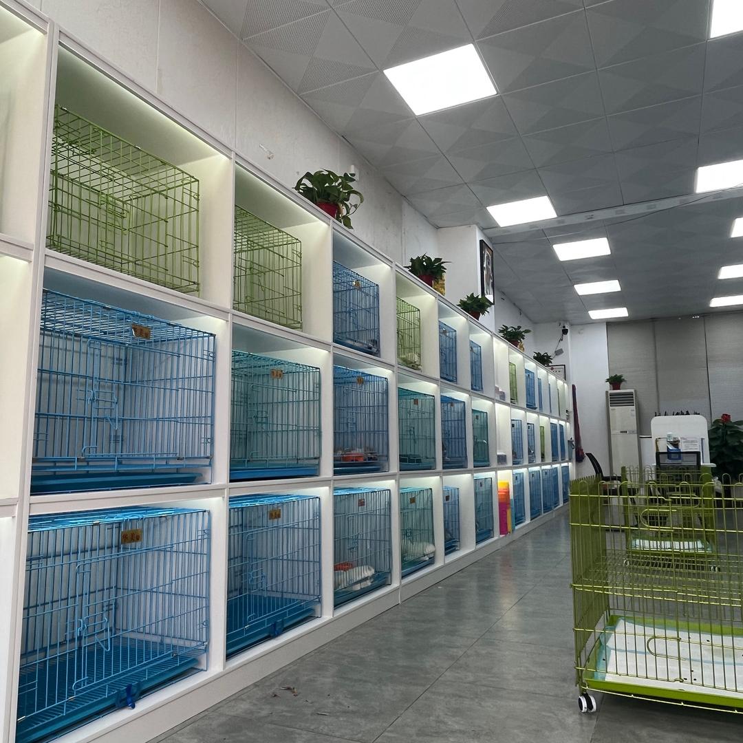 扬州宠物批发基地