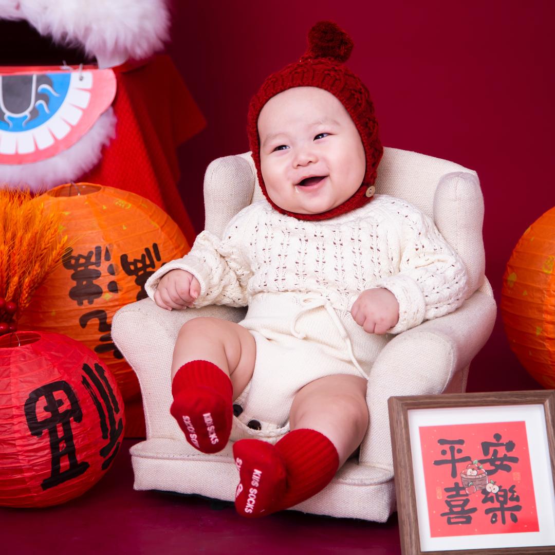 养宸记