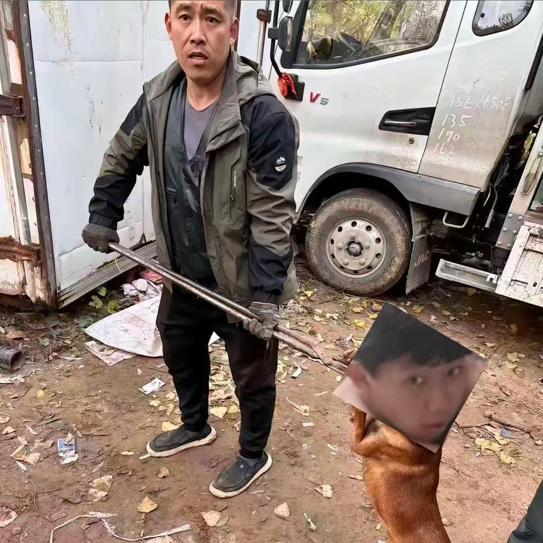 AAA-高哥专业套狗