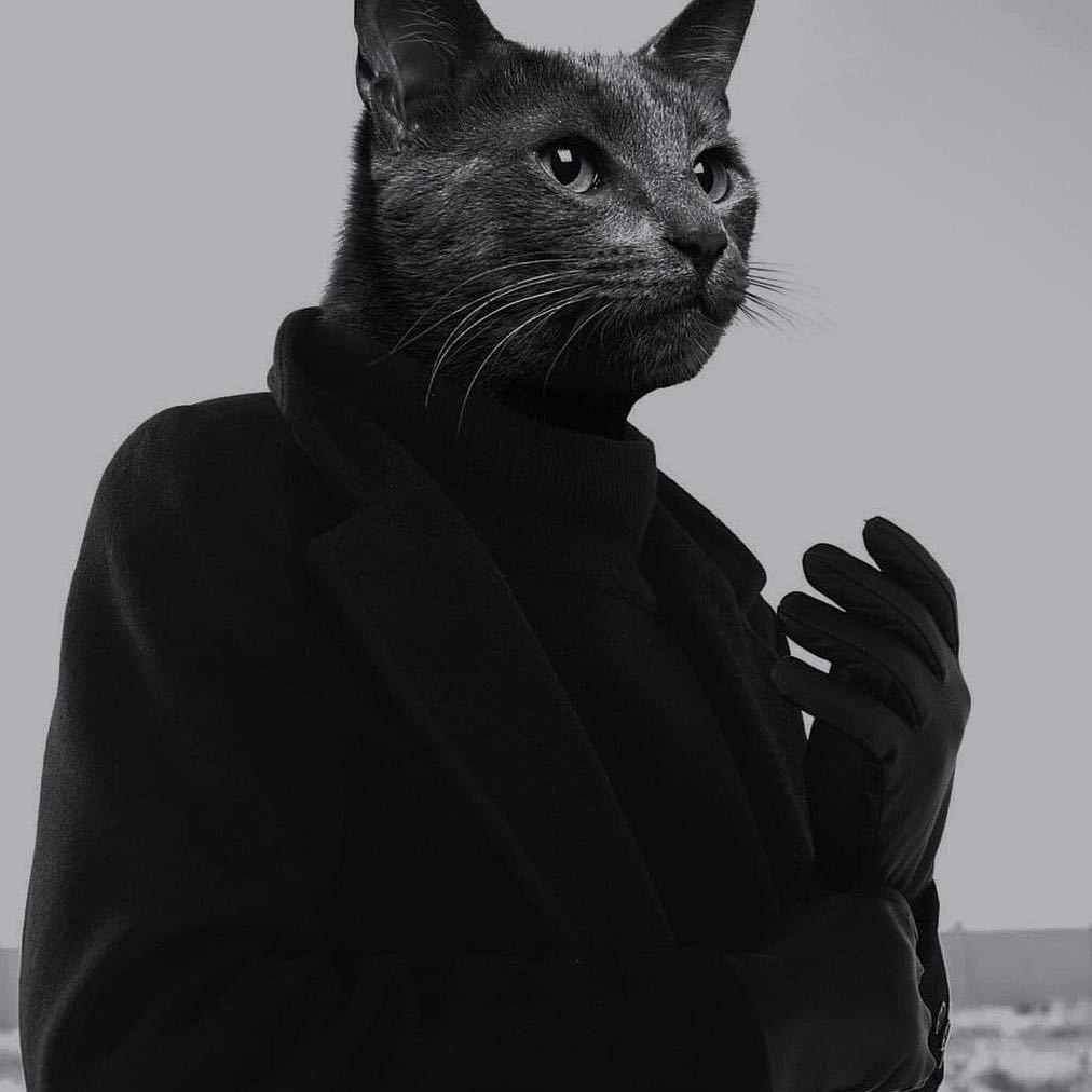 Sik-