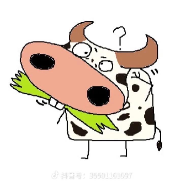 刘哞哞～
