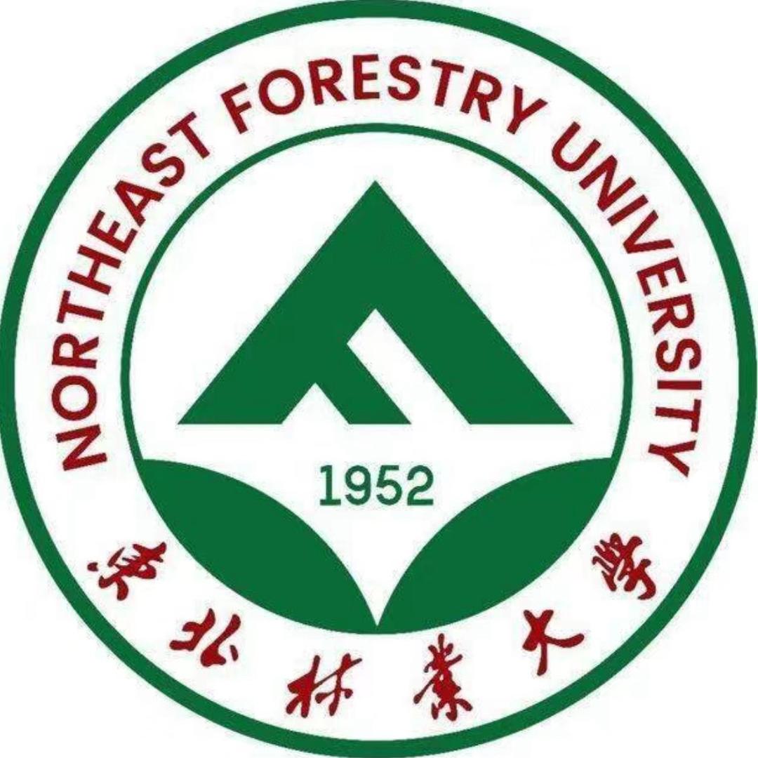 东林经管小趴菜