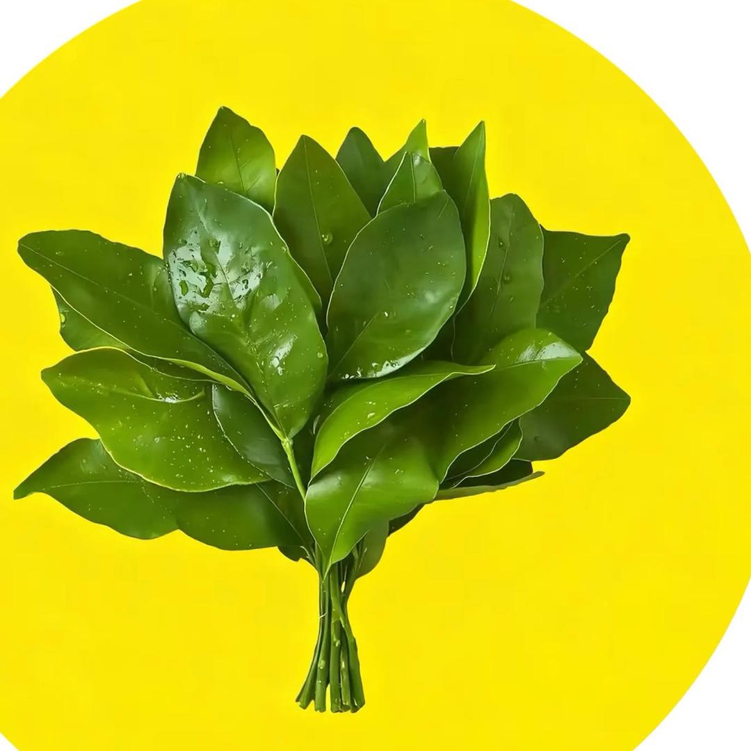 义乌篁园晴衣坊女装批发