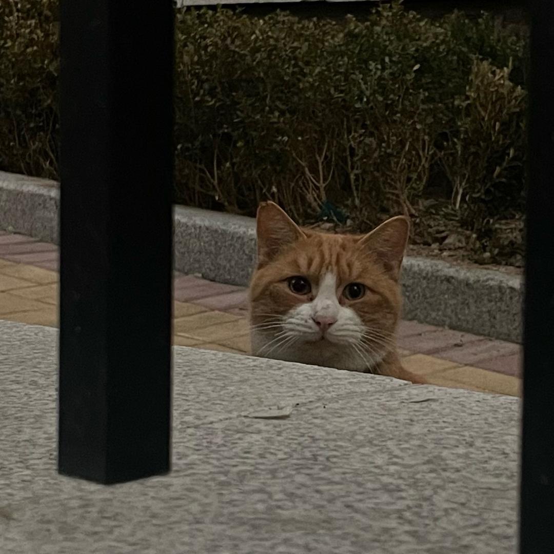 南通装m被s送十连鞭鞭出屎