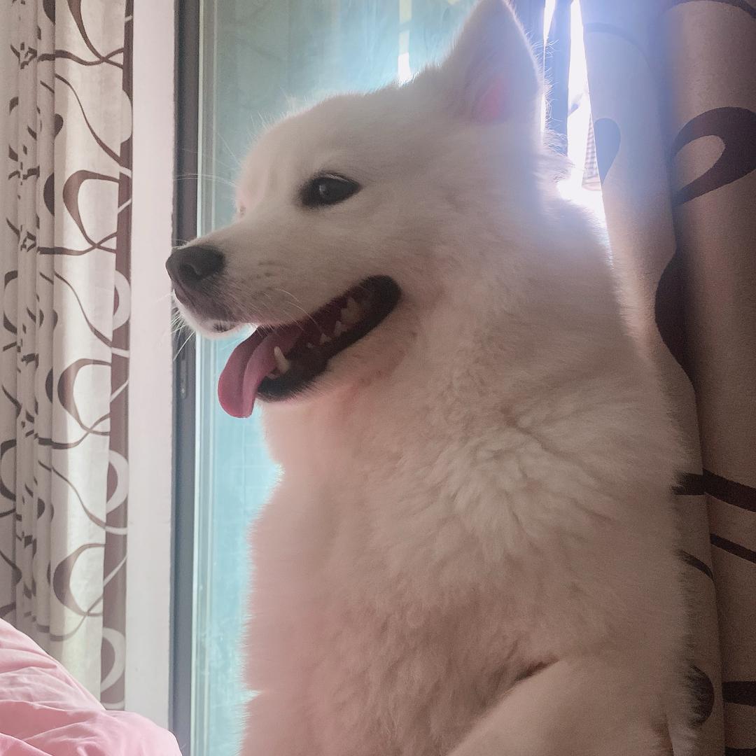 渡劫