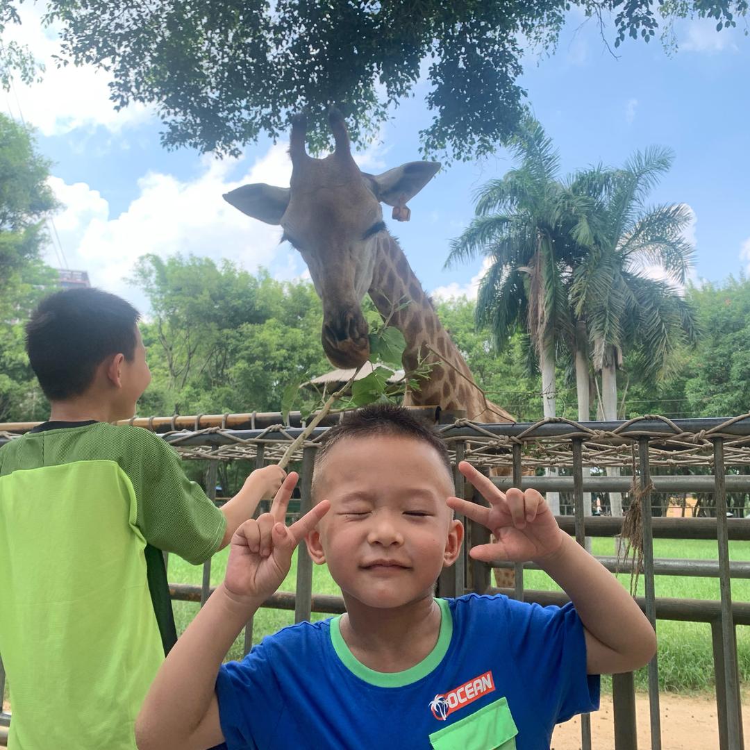 罗罗罗