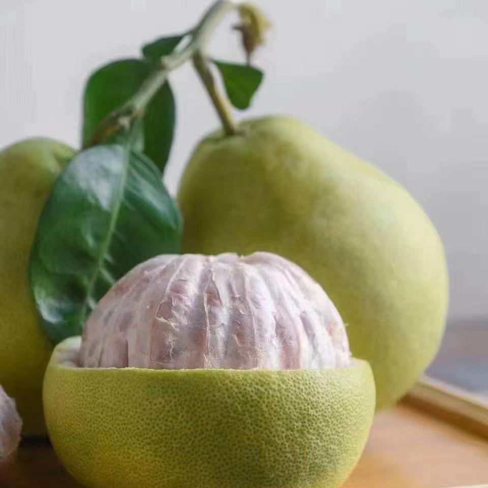 仙柚度尾文旦柚