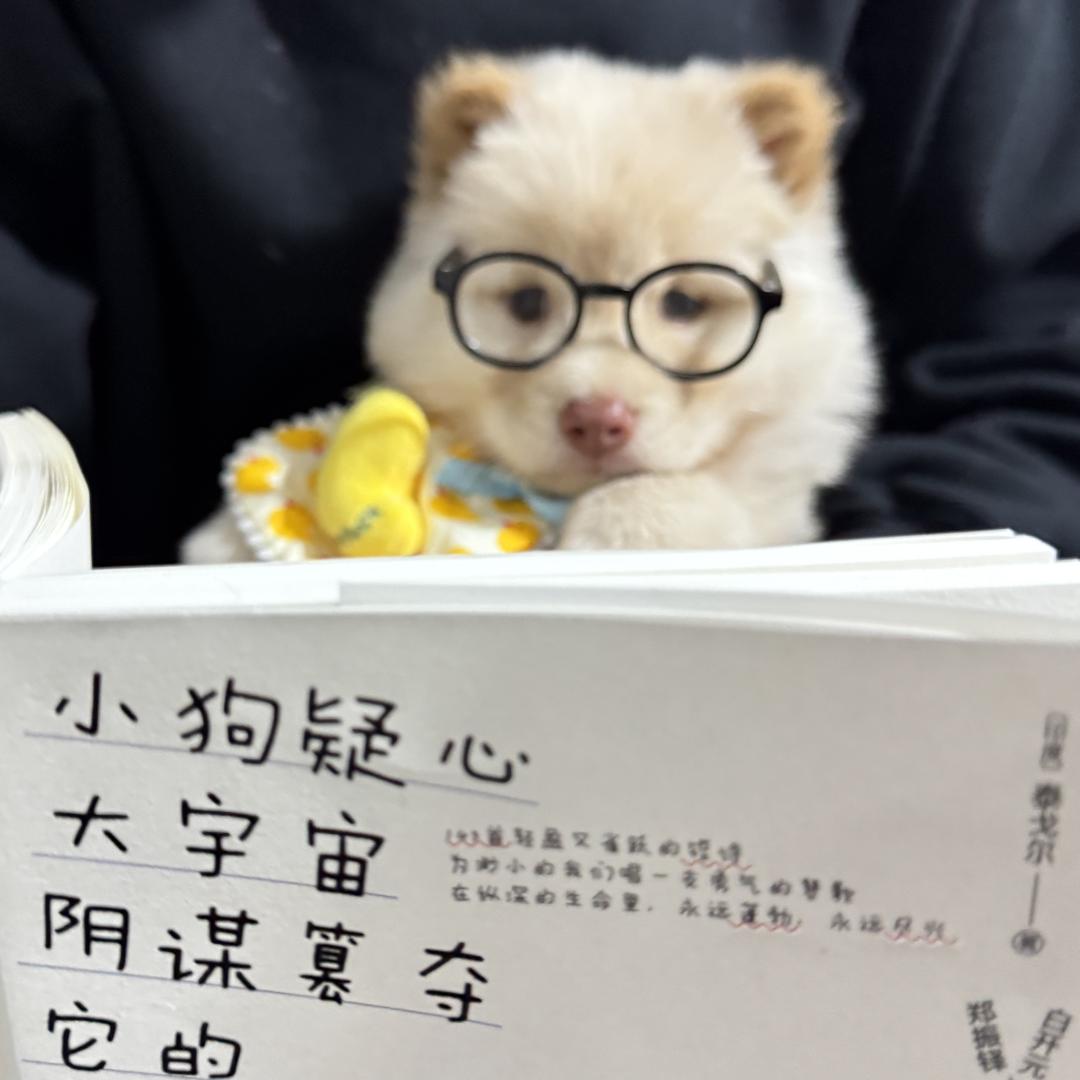 土松铃铛🔔