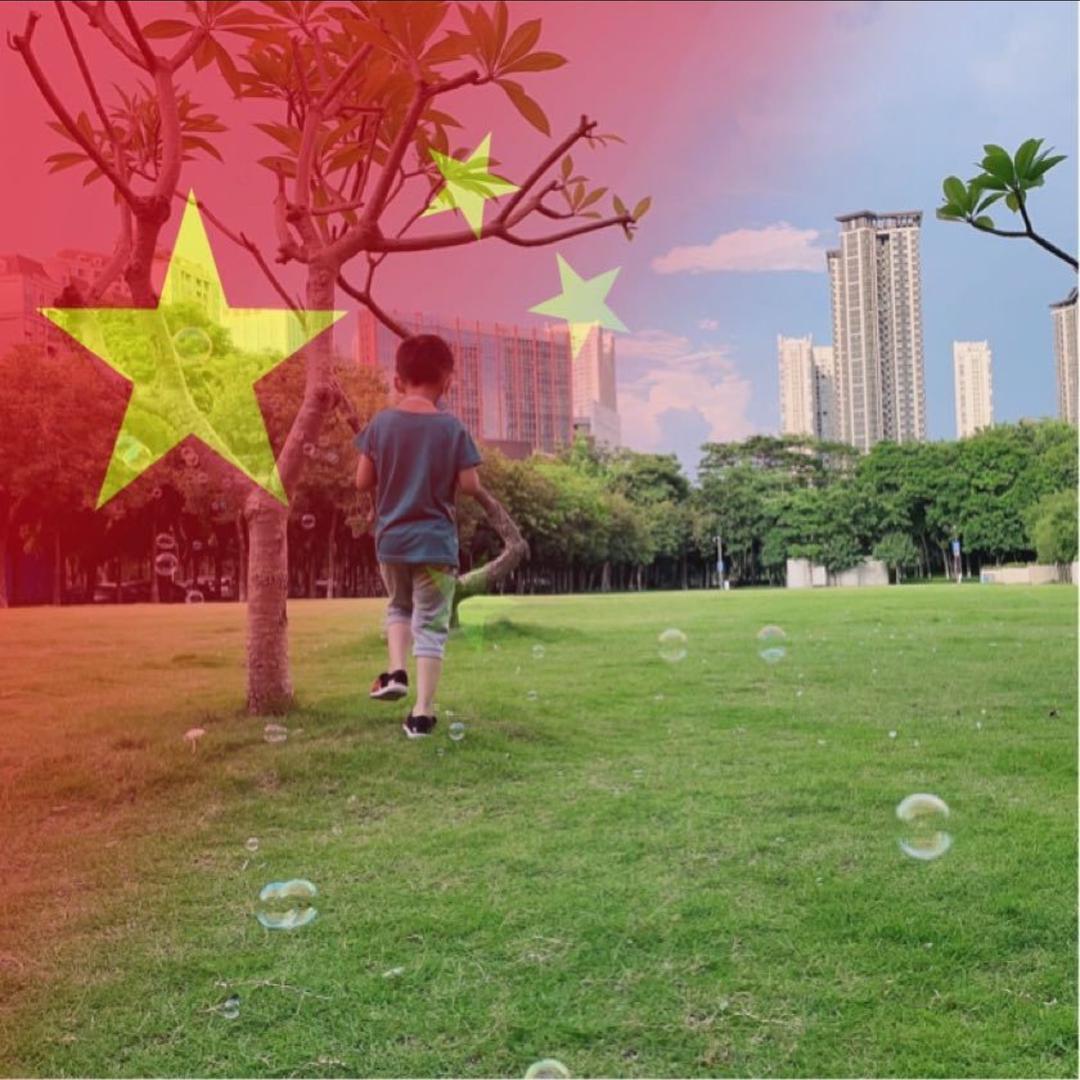 自在如风的仙人掌🌵