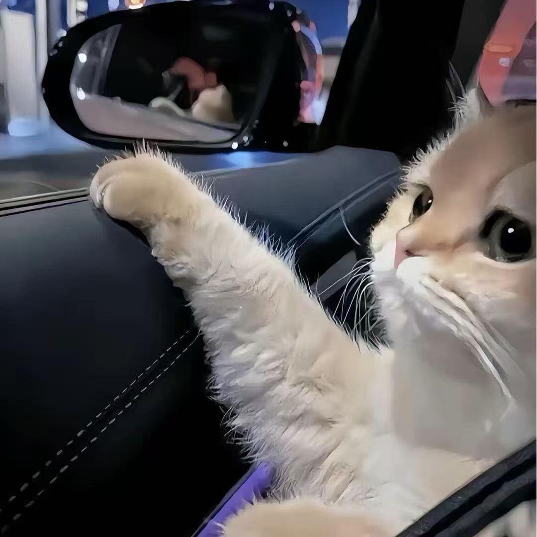 212（努力打金版）