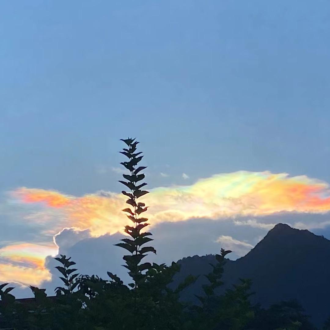 廖家花木园艺