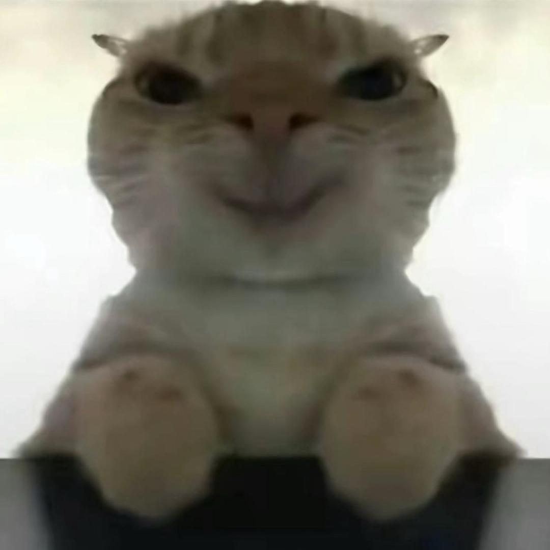 遊龍（三角洲行动）