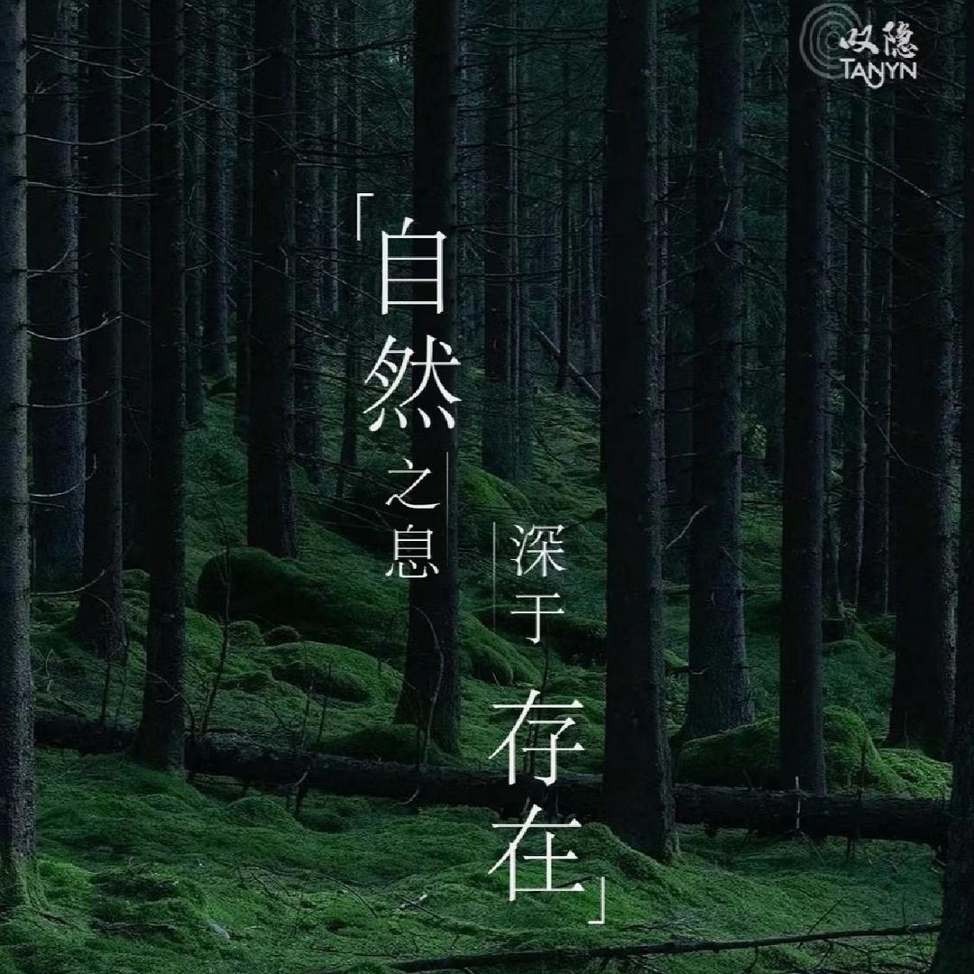 青山与唐的茶品鉴号