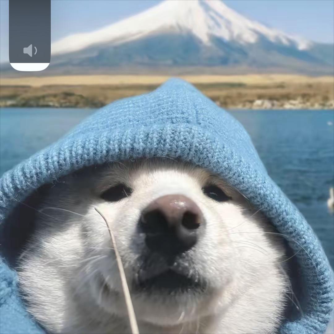 精选优品