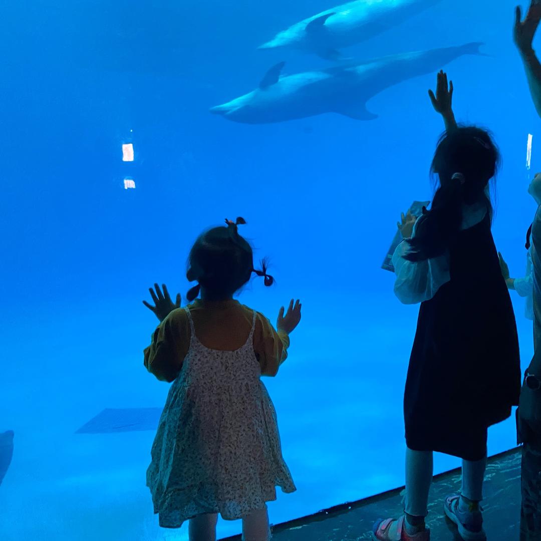 🍀你若盛开🦋自来