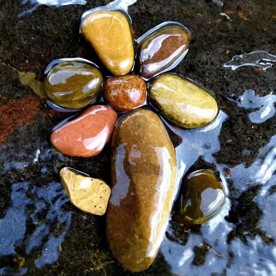 花寄