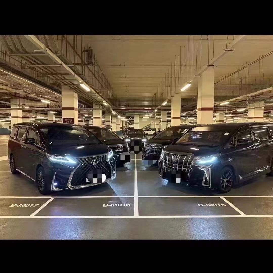 游生快乐发财