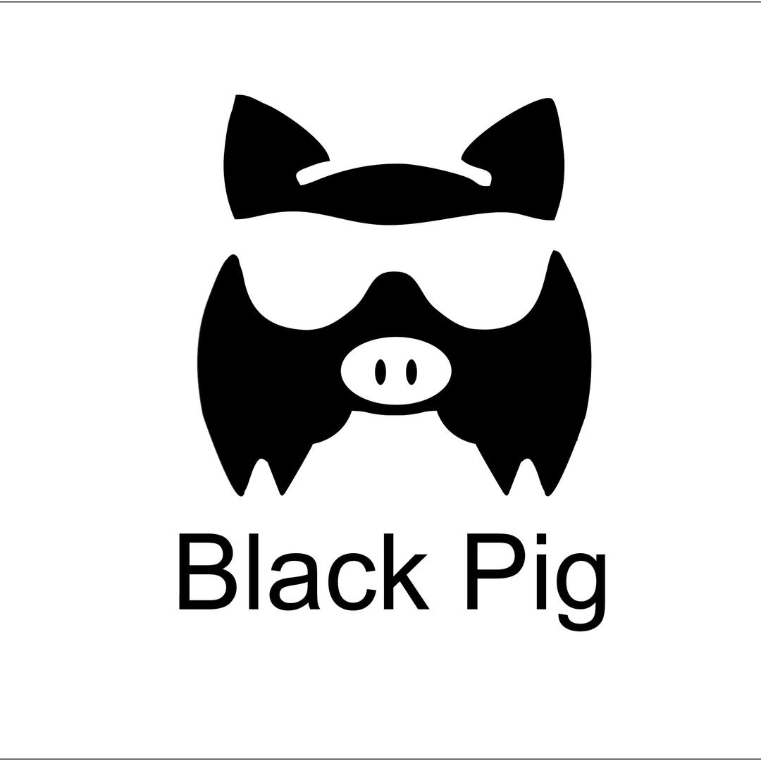 BLACK PIG 黑猪路亚饵