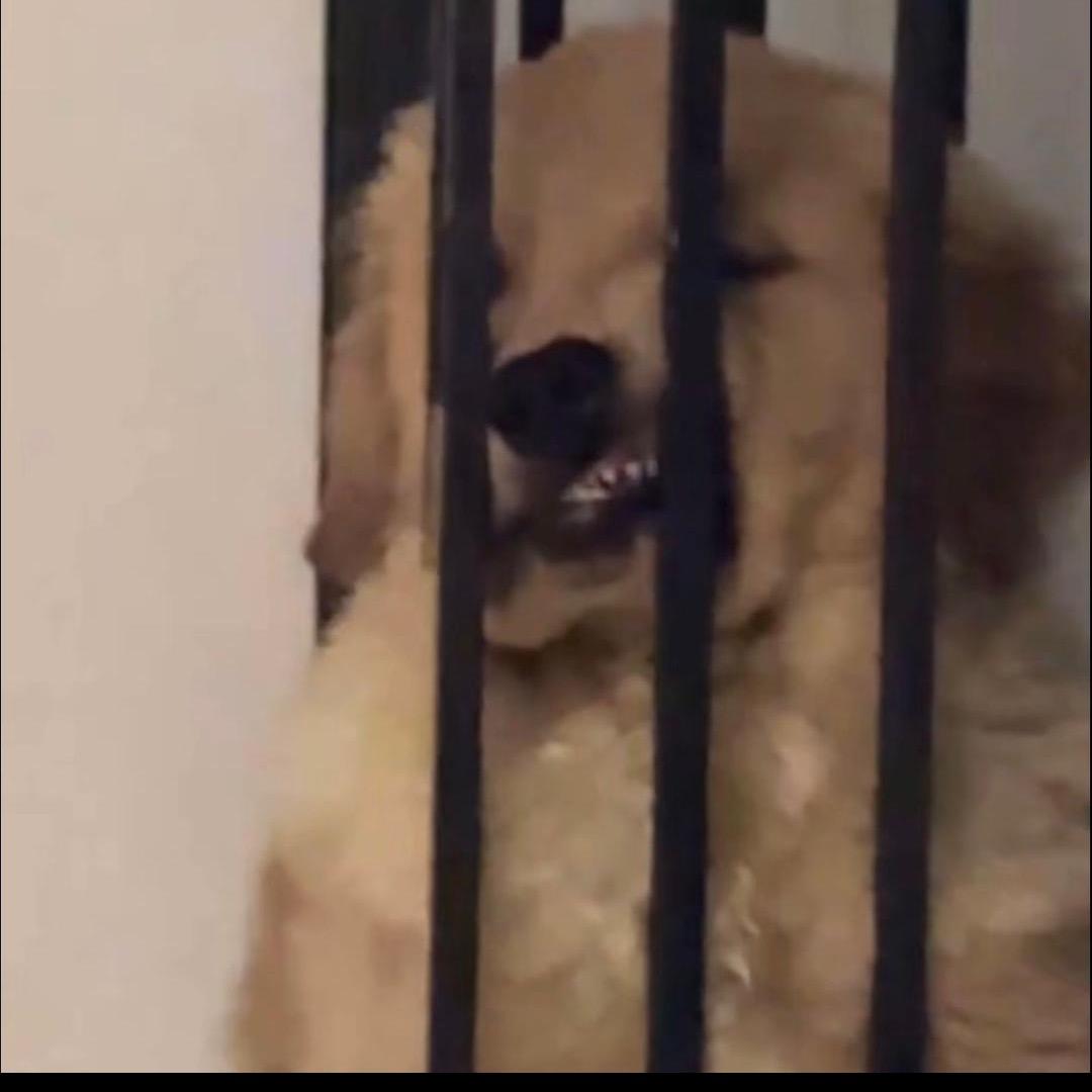 不不不不不