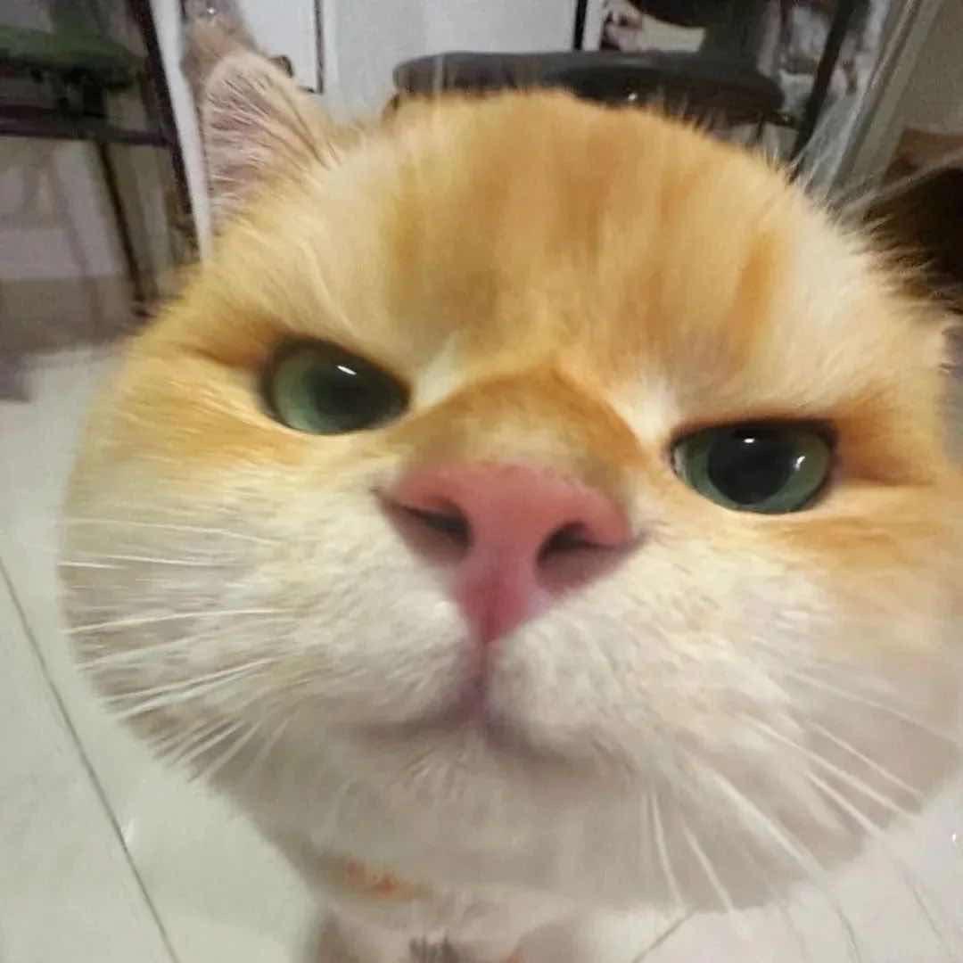 星屿（反派少妇）