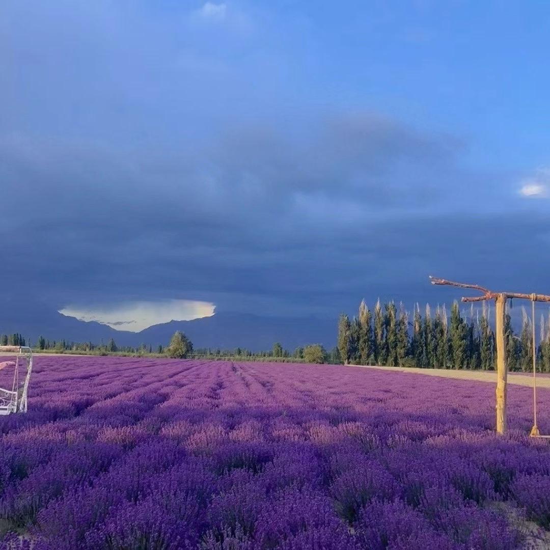 李霞的多元好物小铺