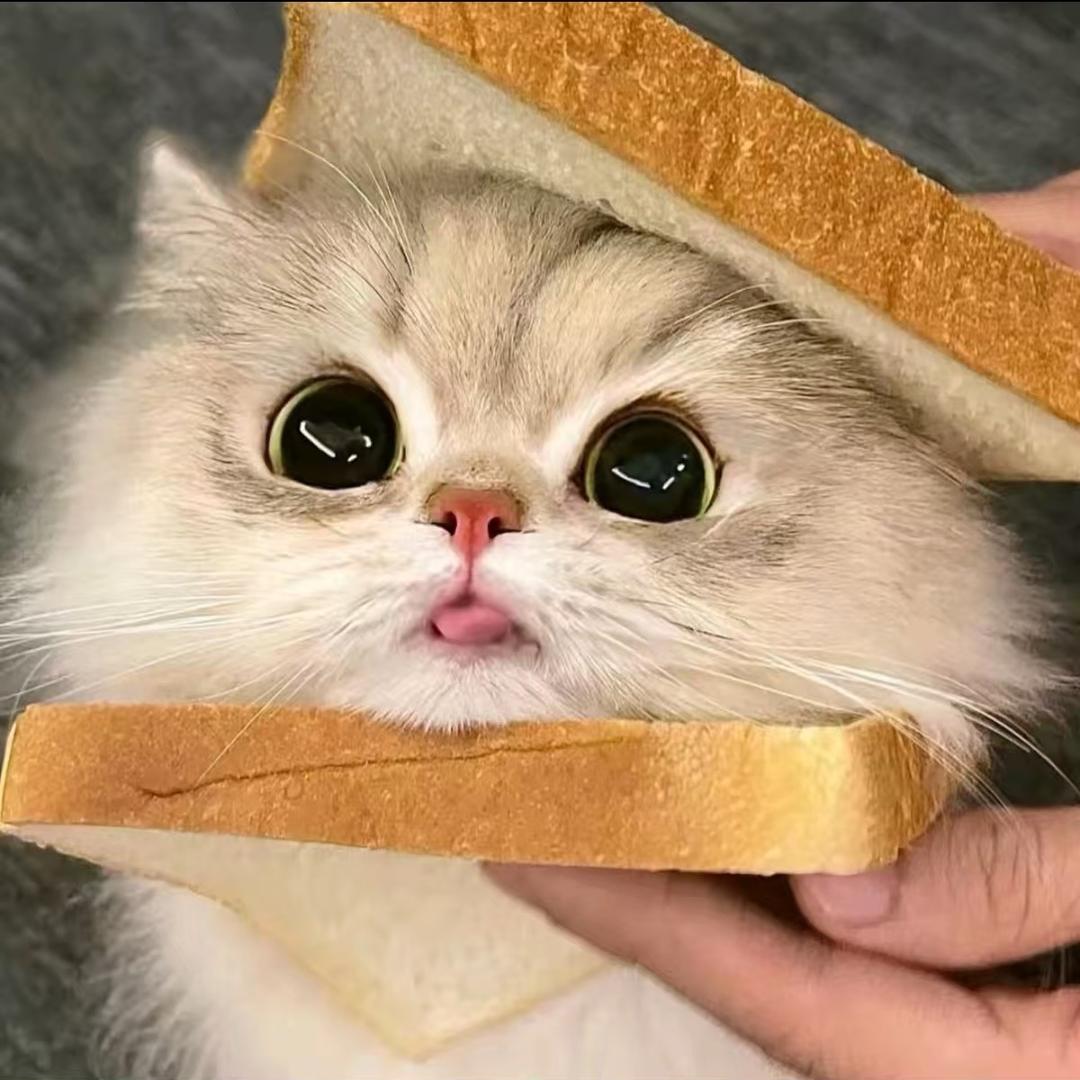 泰宠嘉宠物用品