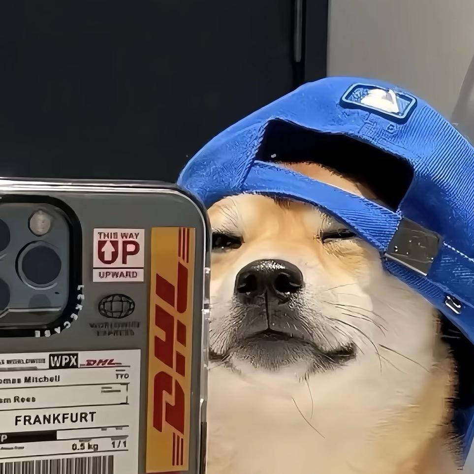 小懒猫