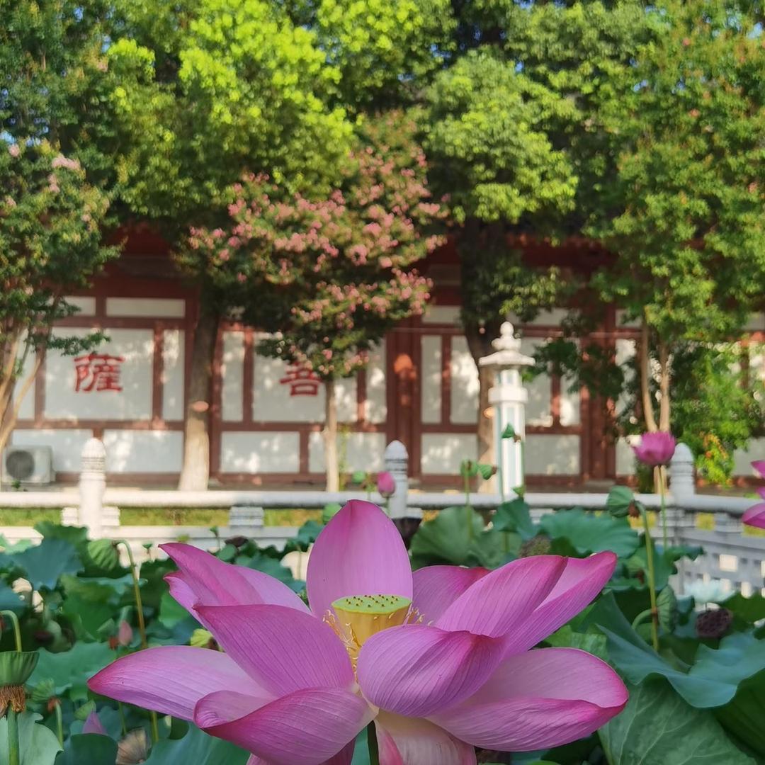 中吉物流