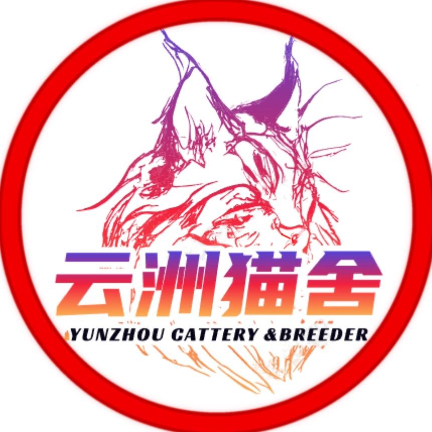 云洲缅因·客服