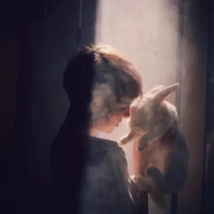 奶汪汪