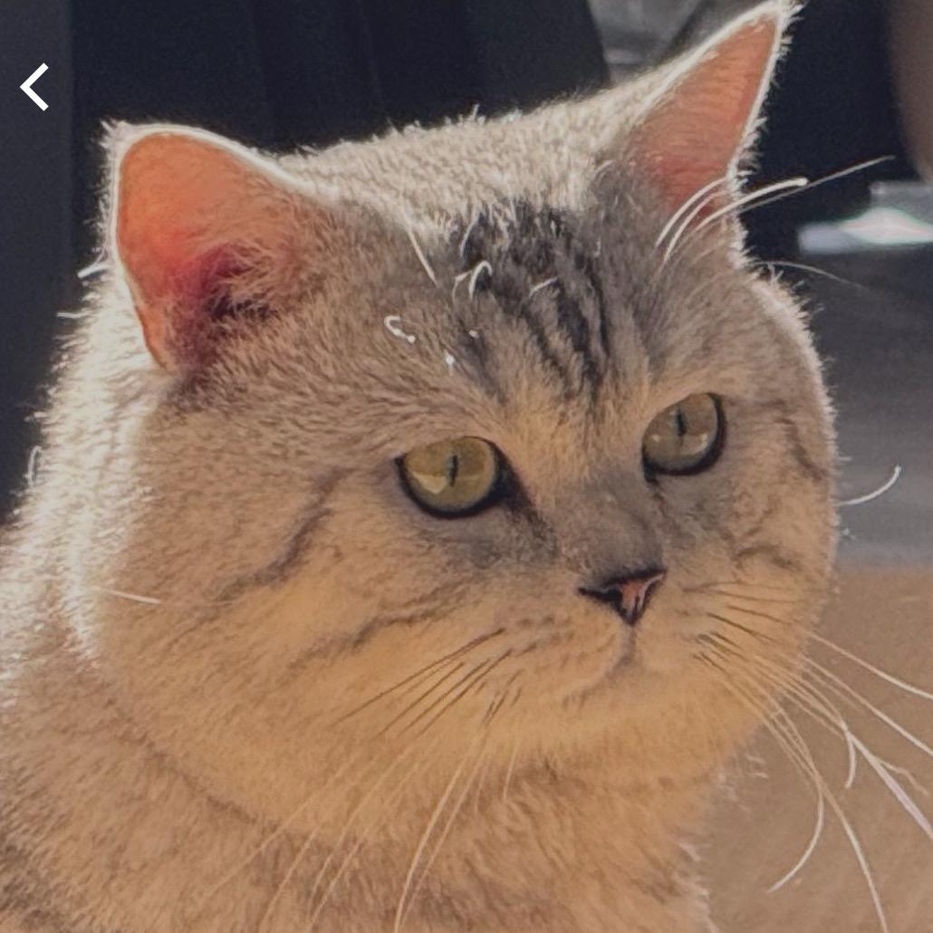 平平无奇小女孩