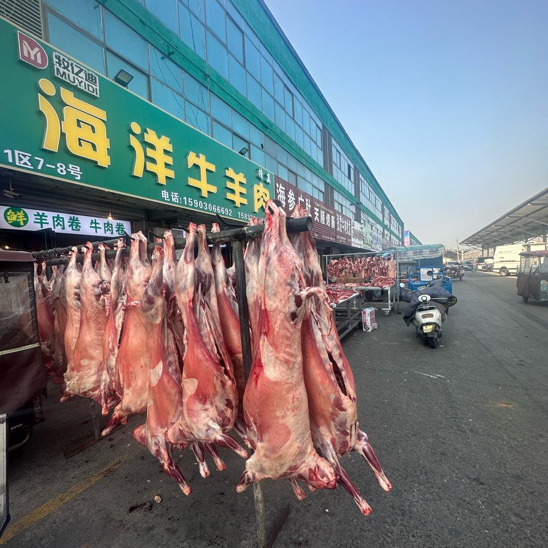 海洋牛羊肉