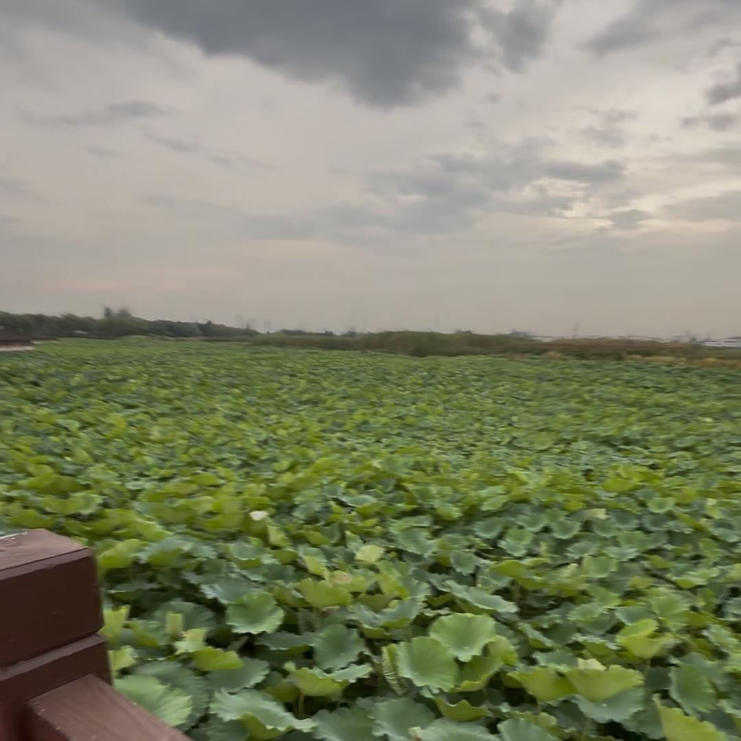 时间煮雨我煮粥