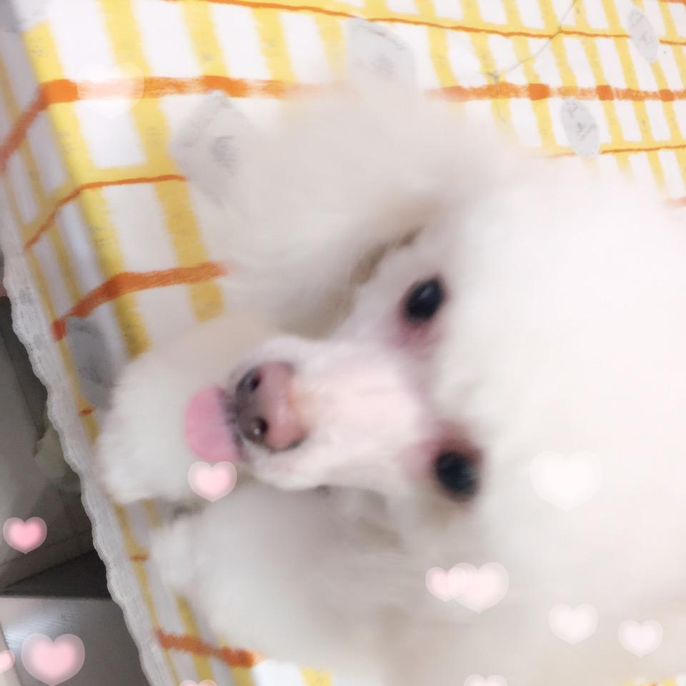 靓大小姐