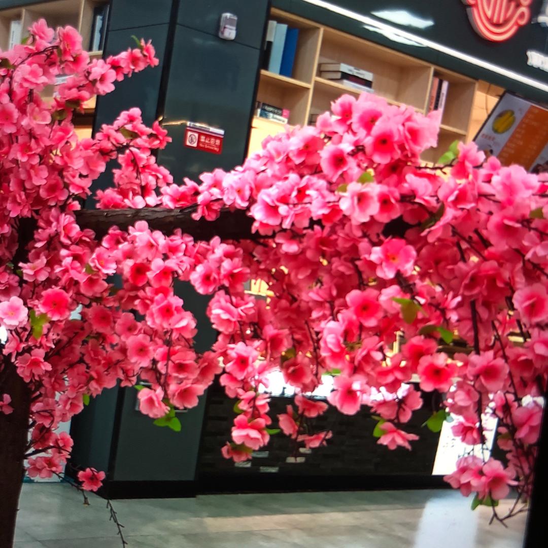 用户6651730120760Ppppp