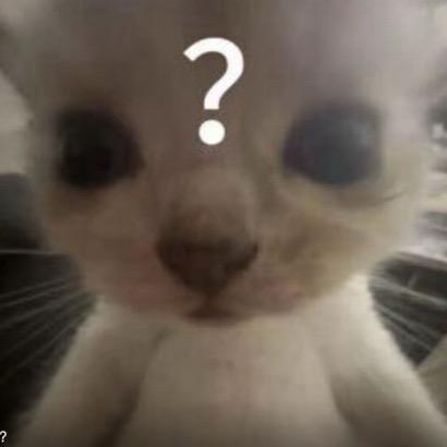 111