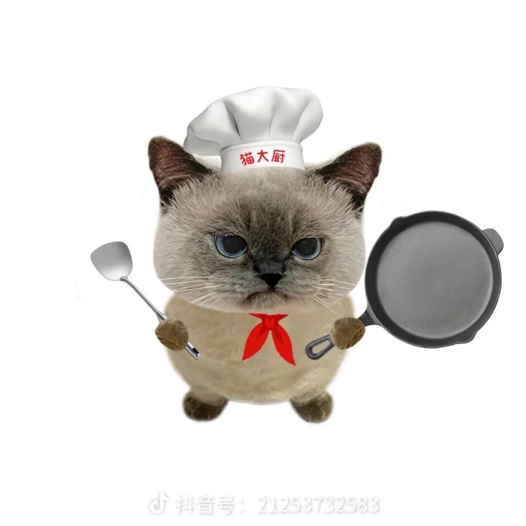 兔愿熊萌宠臻选阁