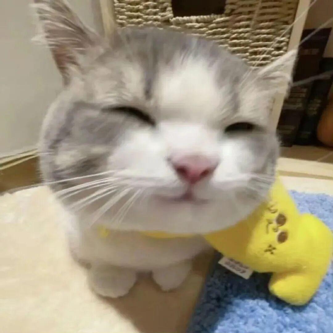 莲之出淤泥而不染