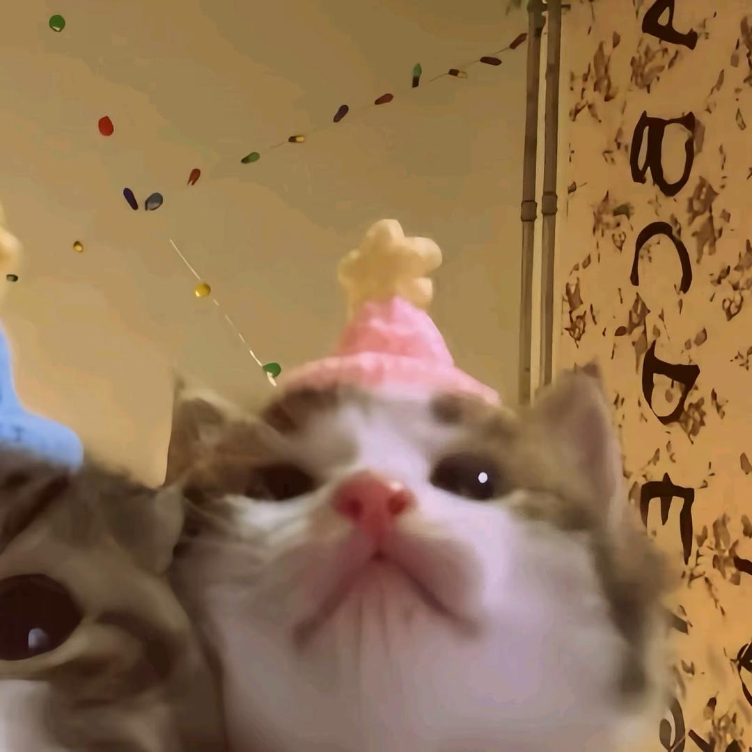 杏子