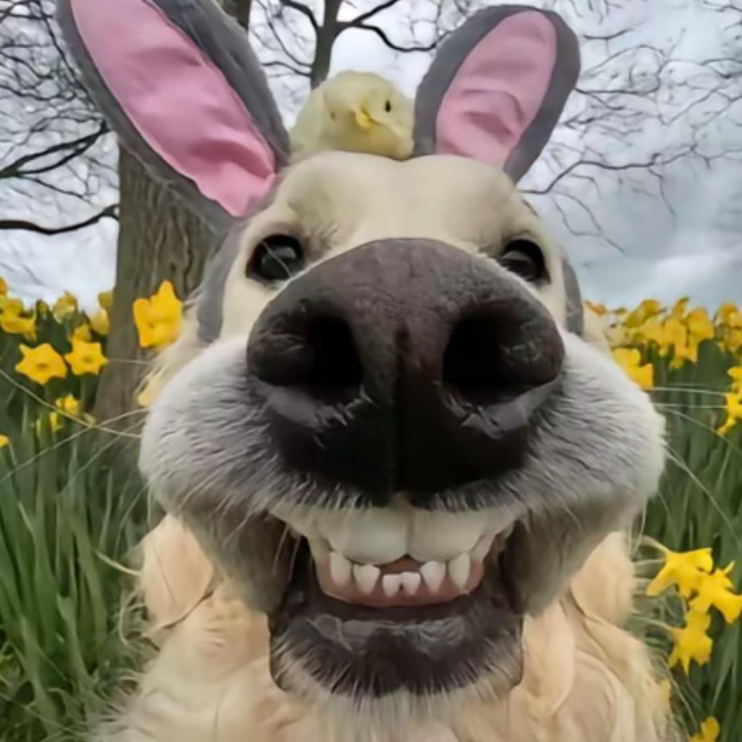 十点就得睡觉 要不第二天太困了起不来