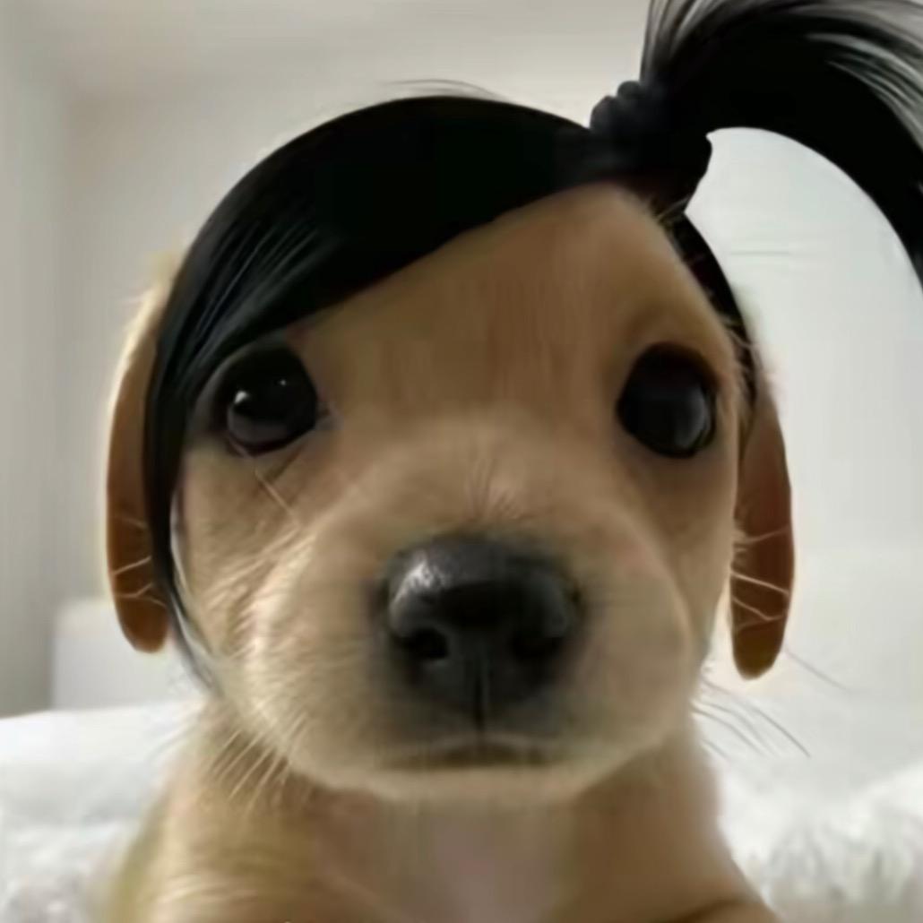 婉拒18亿彩礼（拒绝过刘亦菲，章若楠版）