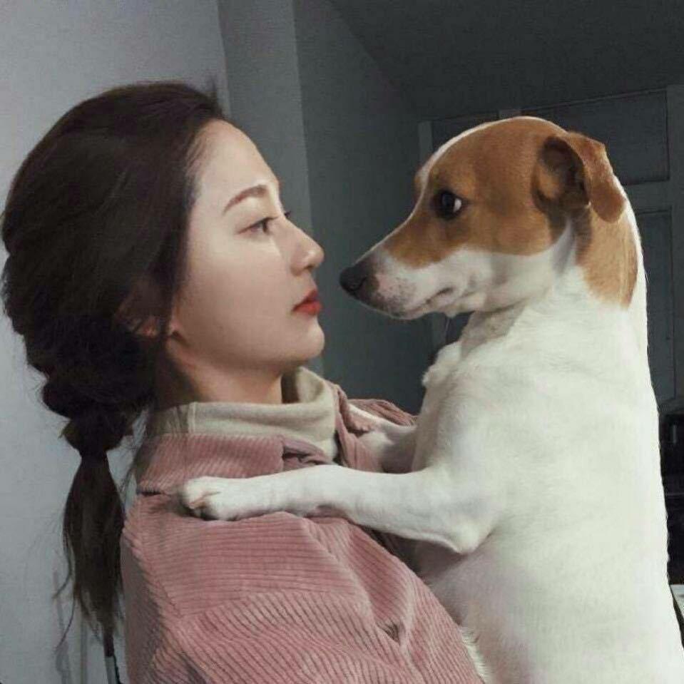 长麻威威挑战赛（董小姐）
