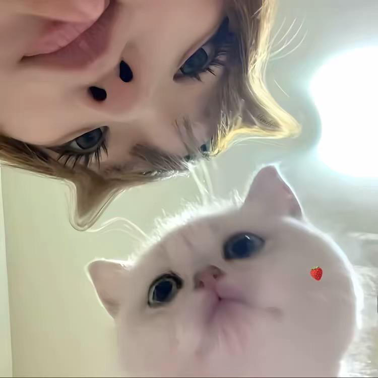 xx