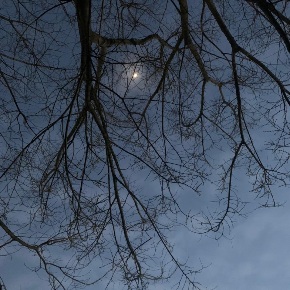 已经很勇敢很棒了 的第二朋友圈