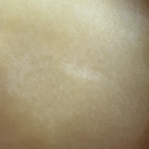 满山的猴子我腚最红