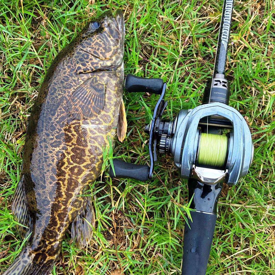 🎣路亚小老弟。