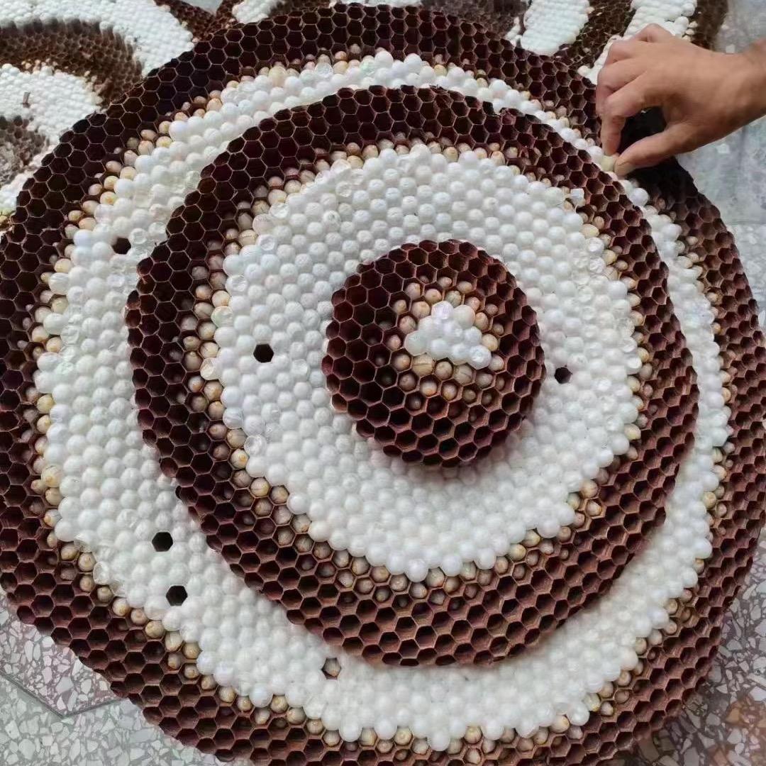 广东中山蜂蛹哥